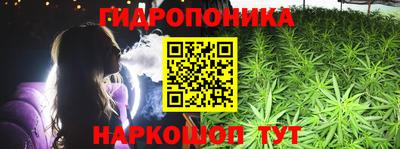 дурь Будённовск