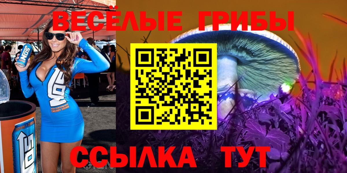 Псилоцибиновые грибы Magic Shrooms  Вход с VPN  Галлюциногенные грибы Magic Shrooms  Кузнецк 