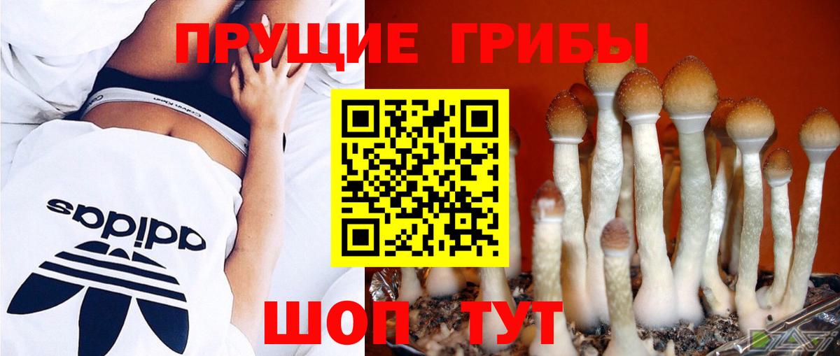 Псилоцибиновые грибы Magic Shrooms Кузнецк