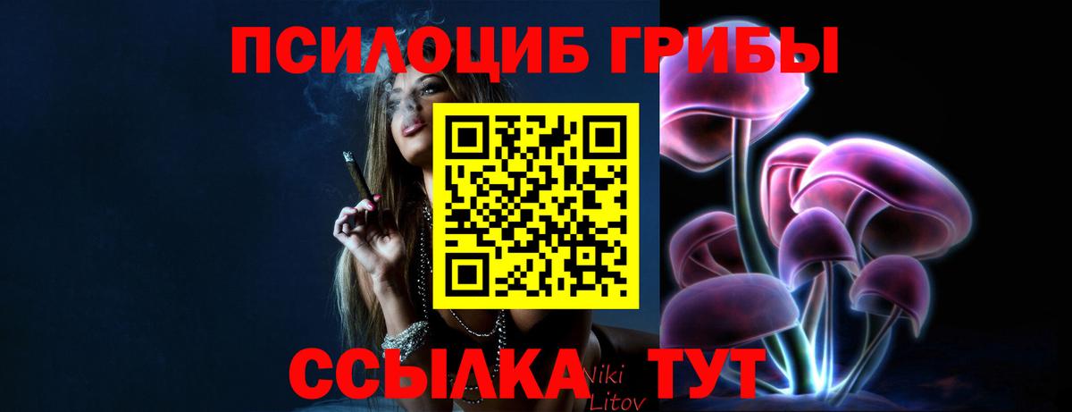 Кузнецк  Вход с VPN  ТГК  Мефедрон кристаллы  Конопля  ГАШИШ 