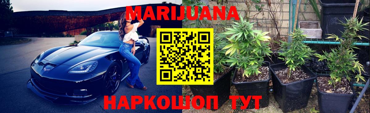 Конопля Bruce Banner Кузнецк